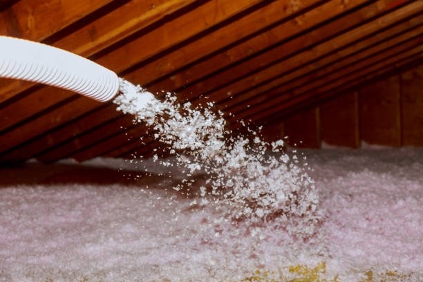 Types of Insulation We Offer in Mount Morris, IL